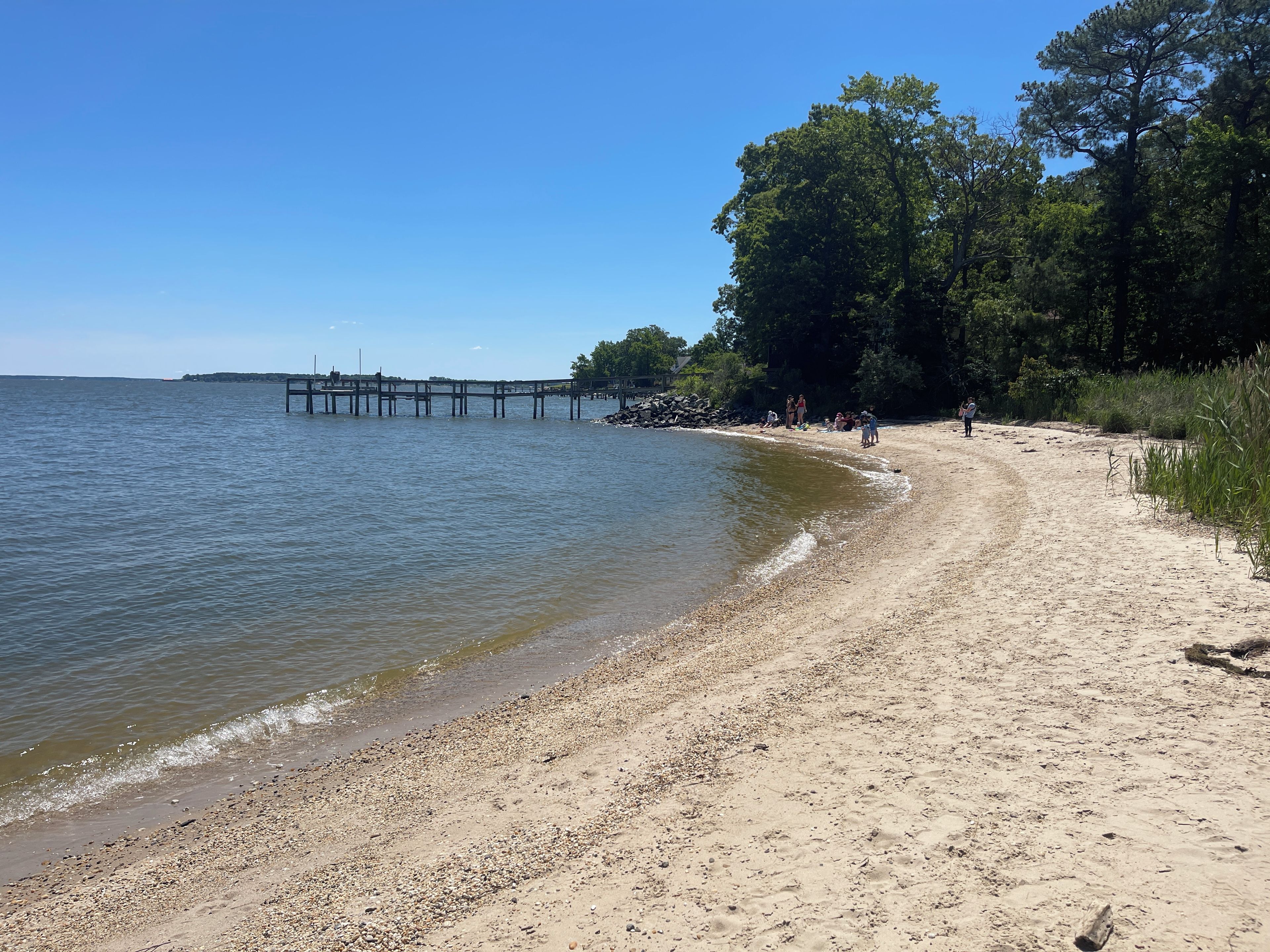 A beach with a wooden pier extending into calm waters, surrounded by trees and a clear sky.