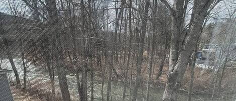 A view through a window with a mesh screen, displaying a yard with trees and a fence.