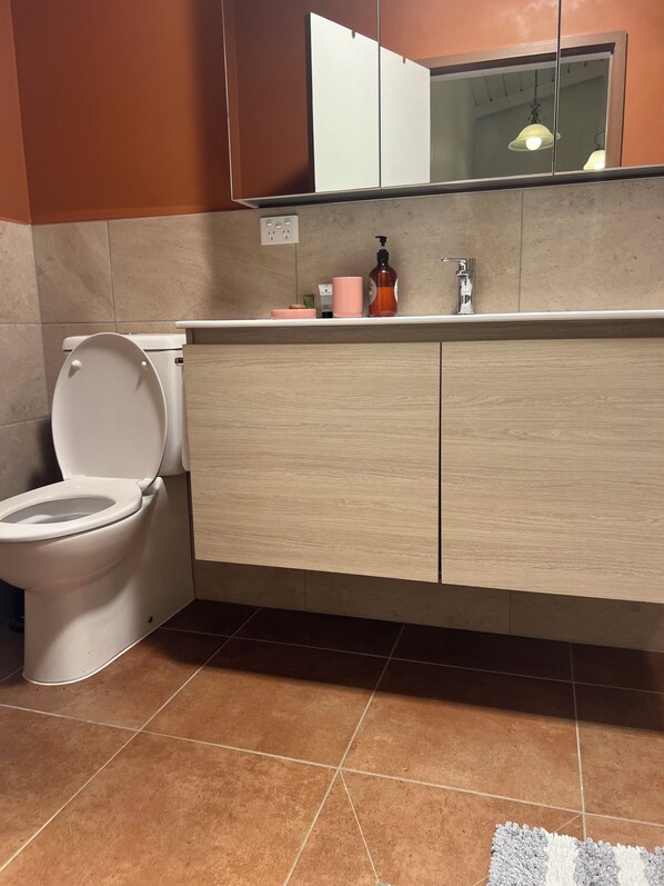 A bathroom with a toilet, a sink, and a mirror.