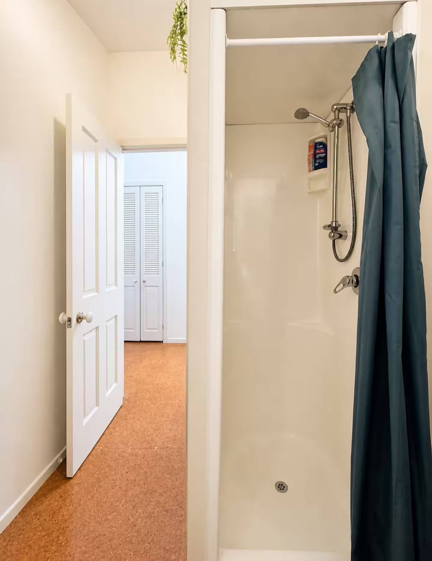 Une pièce avec une douche, une porte donnant sur une autre pièce et une plante suspendue au plafond.