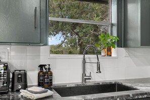Una cocina con un lavamanos, una ventana y una planta.
