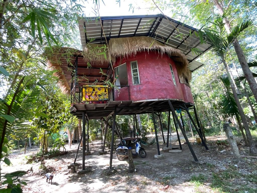 A red wooden house with a thatched roof, elevated on stilts, surrounded by trees.
