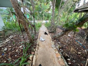 A narrow concrete pathway flanked by trees and vegetation, leading to a building with a green exterior. - Blue Lagoon Koh Chang (Ko Chang)