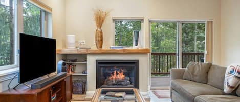 TV, fireplace, books