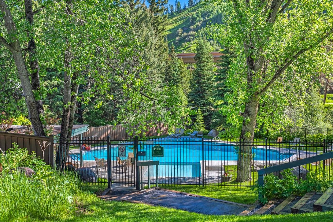 A backyard with a swimming pool, surrounded by trees and a fence.
