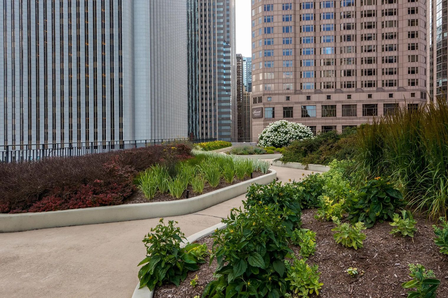 A landscaped garden area with various plants and a pathway, surrounded by tall buildings.