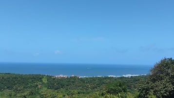 A coastal landscape with a clear view of the ocean and a lush green hillside.
