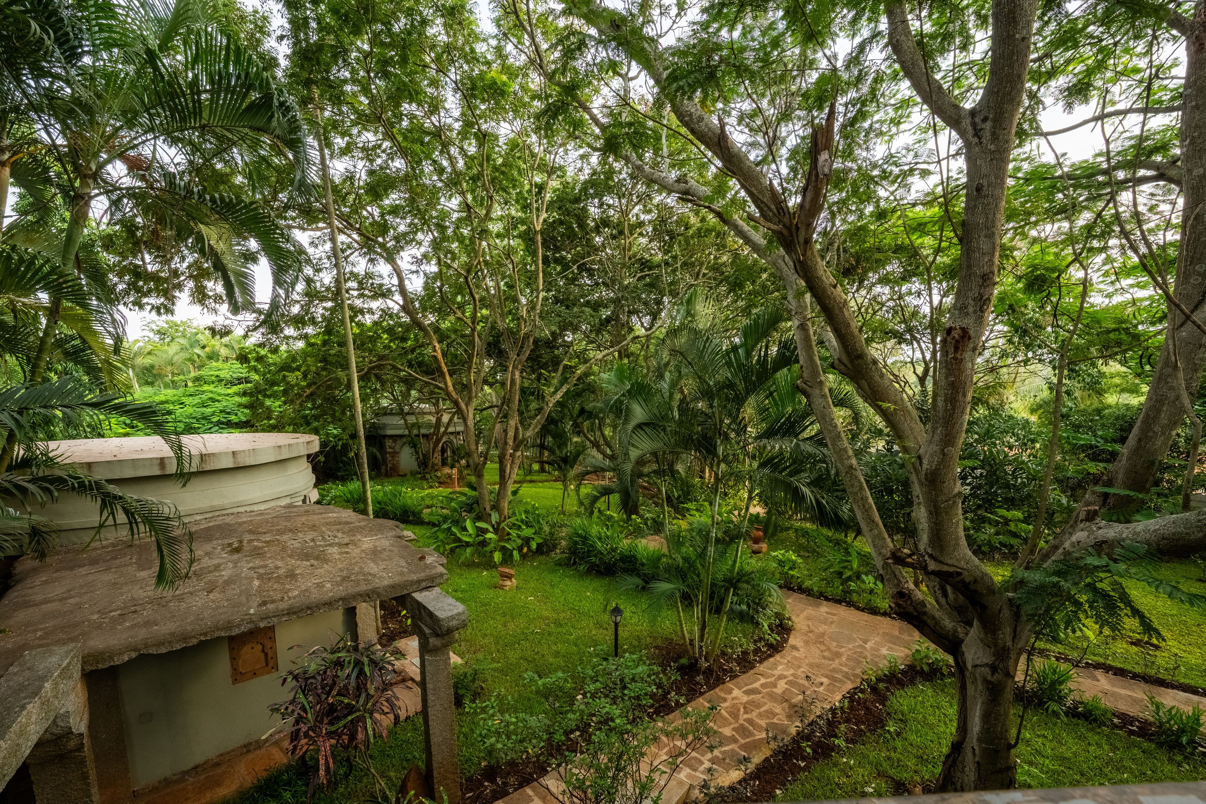 A lush garden with a stone pathway leading to a building with a thatched roof.