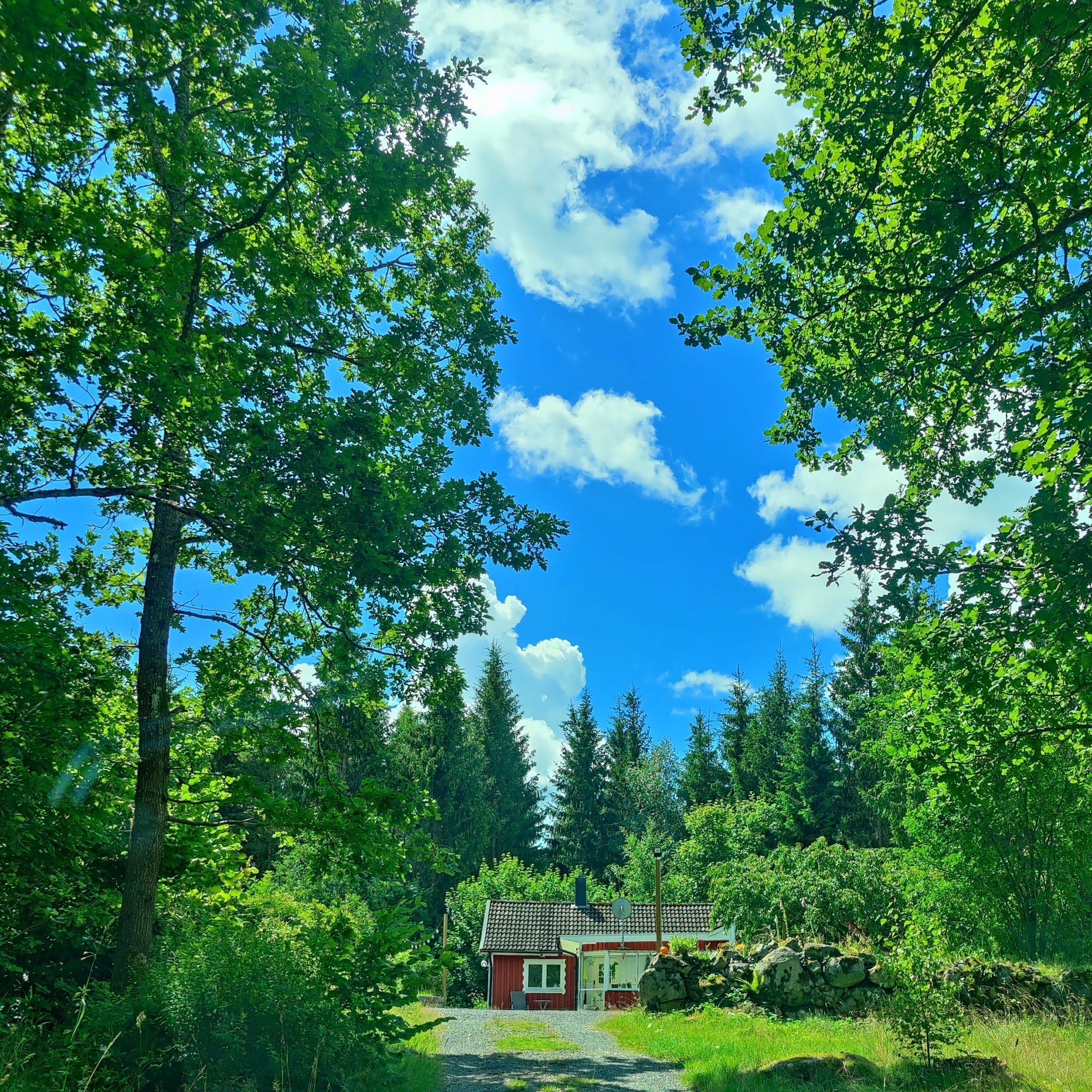 Una casa rodeada de árboles con cielo despejado.