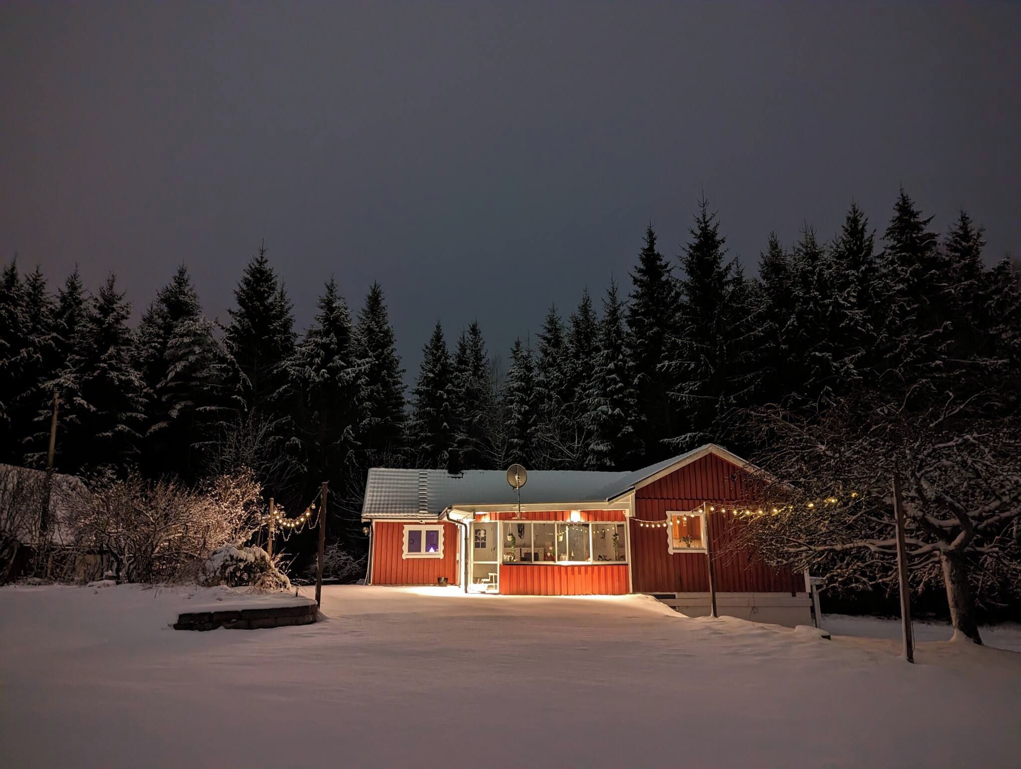 A snow-covered landscape with a wooden cabin featuring a satellite dish, surrounded by evergreen trees.