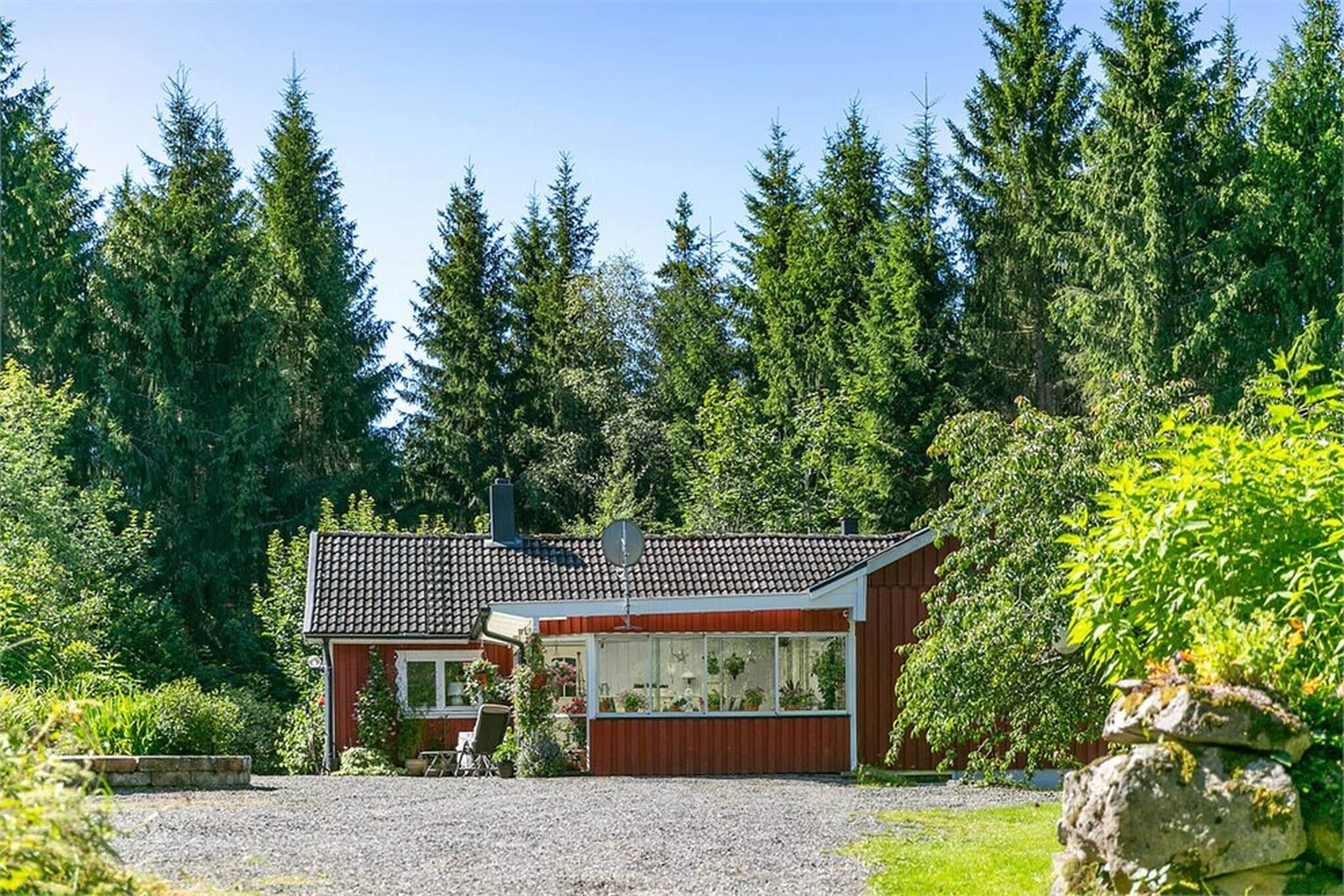 Una casa de un piso con tejado de baldosas, rodeada de un bosque denso.