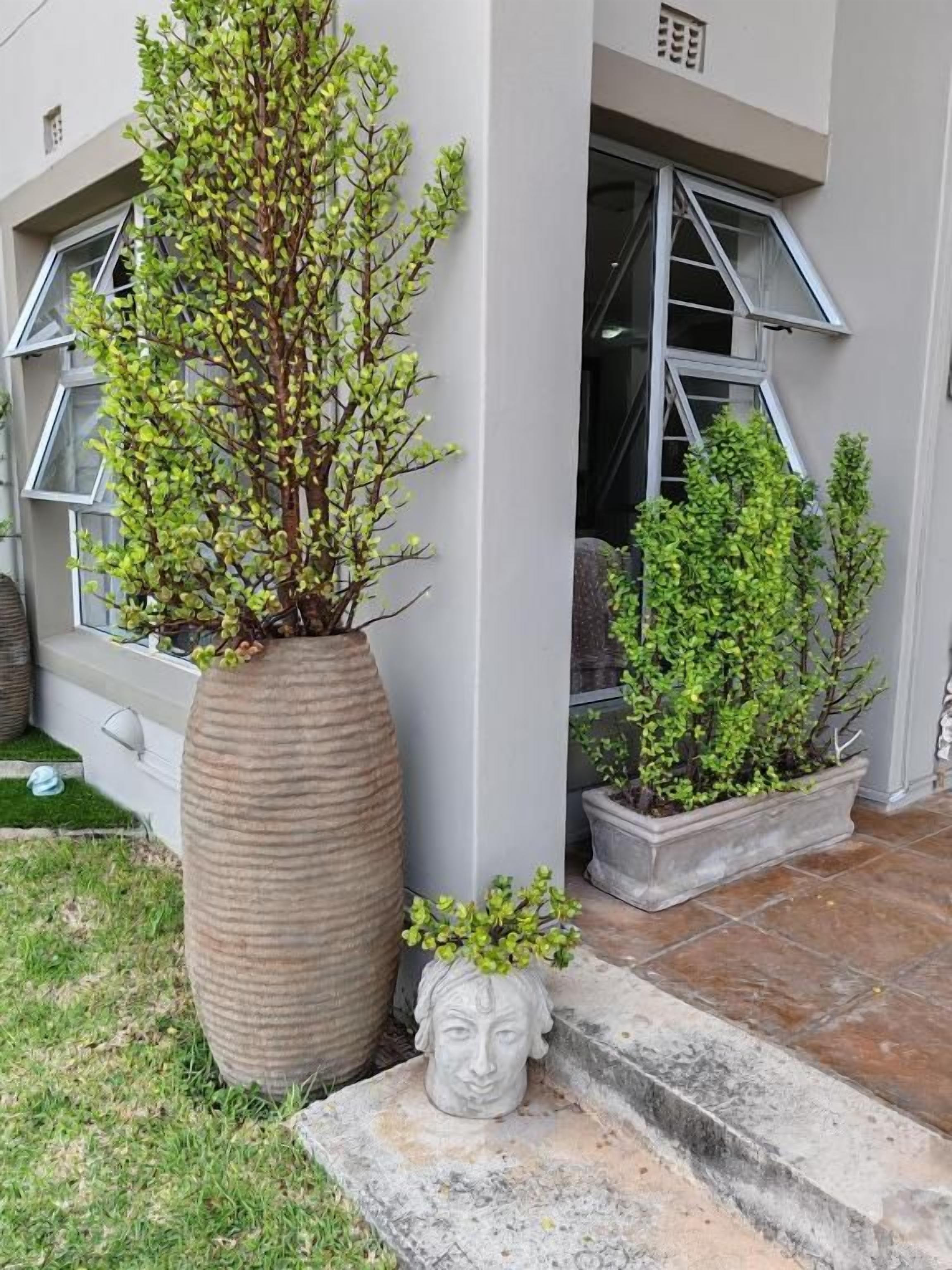A building with a large planter with a tree and a smaller planter with shrubs.