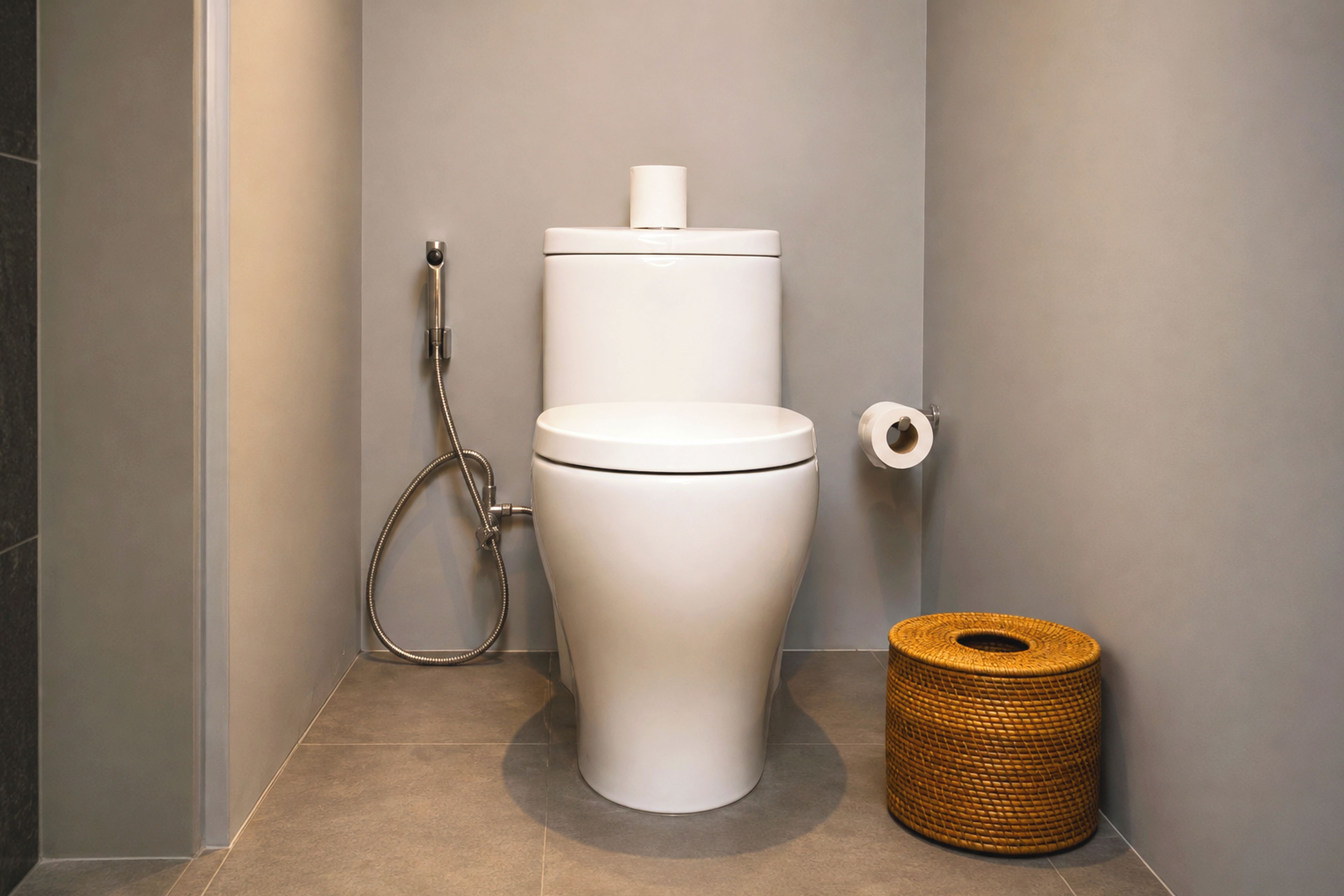 A modern bathroom with a toilet, a shower, and a toilet paper holder.