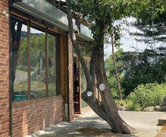Un edificio de ladrillo con amplias ventanas y un árbol en frente.