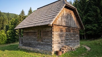 Une cabane en bois rustique, avec des fondations en pierre, une seule fenêtre et une cheminée.
