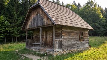 A rustic wooden cabin with a porch, surrounded by a forest.