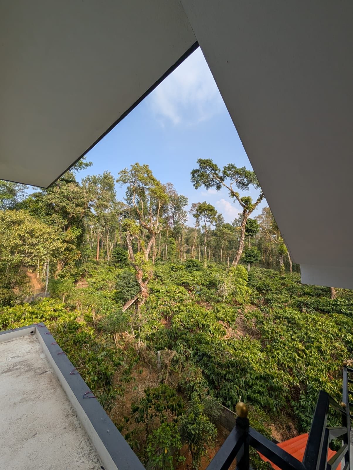 A view from a balcony with a clear sky, surrounded by dense greenery and trees.