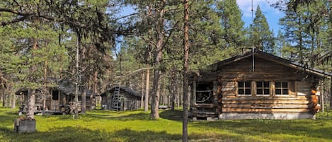 A rustic cabin surrounded by dense pine trees, with a clear sky above.