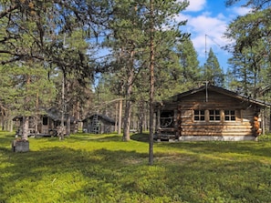 Un chalet rustique entouré d’une forêt dense de pins, sous un ciel dégagé.