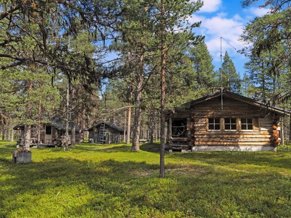 A rustic cabin surrounded by dense pine trees, with a clear sky above.