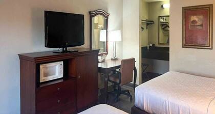 Cozy 2 Queen Bed|Fridge|Free Wifi