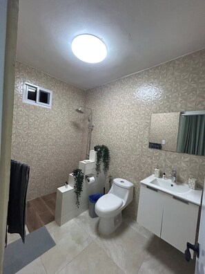 Ein Badezimmer mit Dusche, Toilette, Waschbecken und Spiegel.
