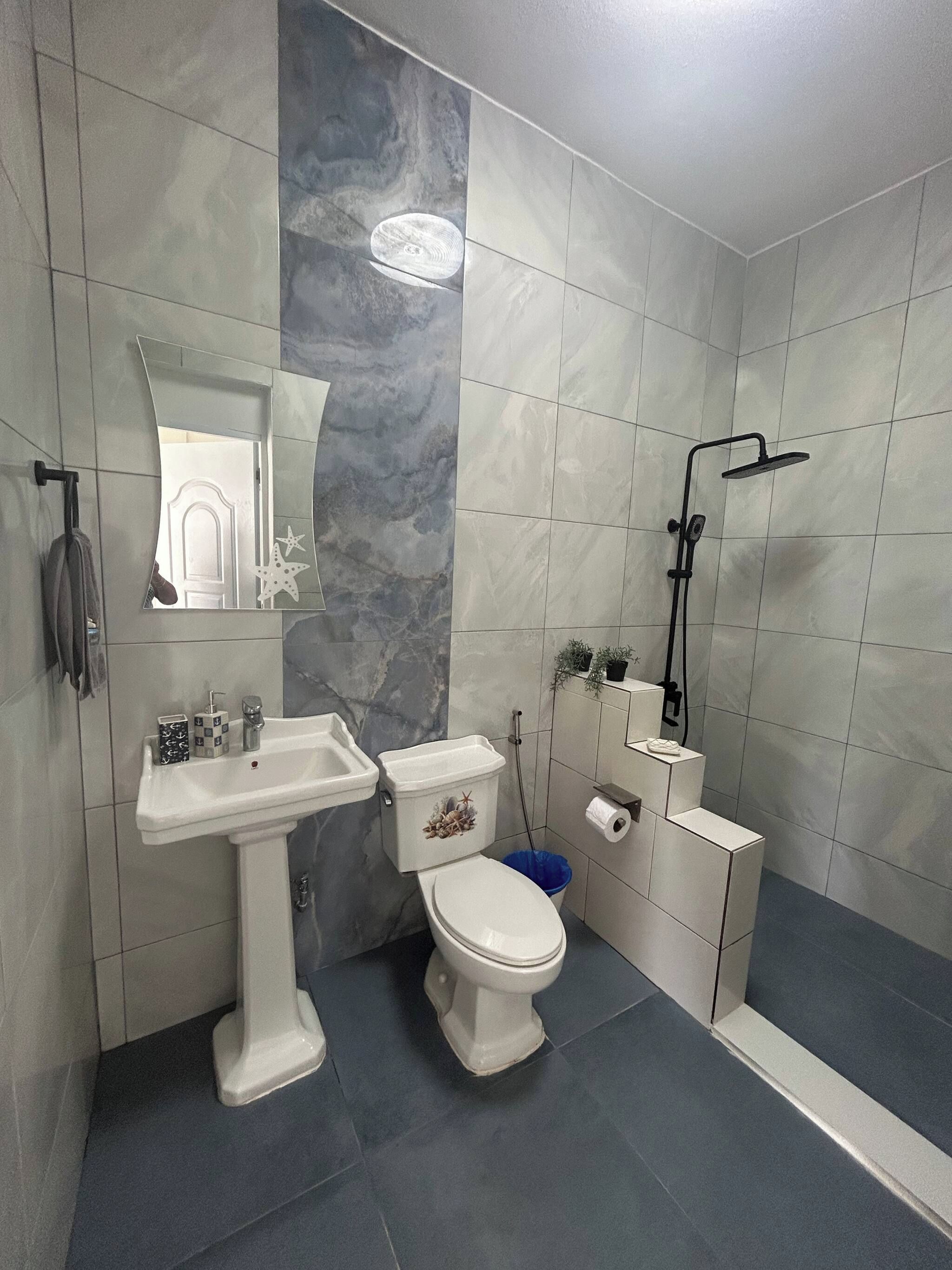 Ein Badezimmer mit einem Standwaschbecken, einer Toilette und einer Dusche mit Duschbrause.