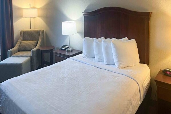 A hotel room with a large bed, a chair, a bedside table with a lamp, and a clock.