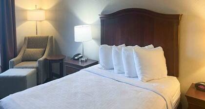 Spacious 1 King Bed|Free Parking|TV