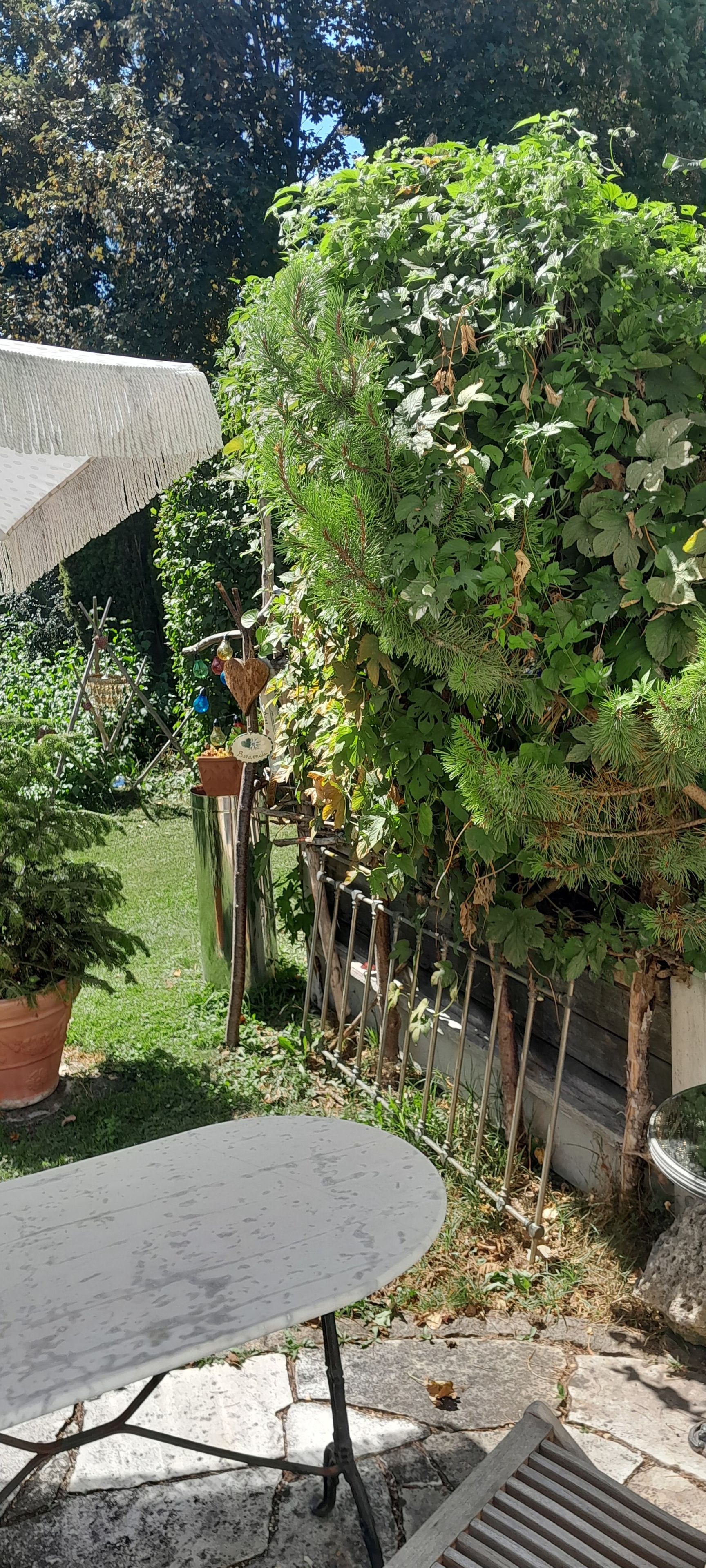 Ein Garten mit einem Tisch, Stühlen, einem Blumentopf und einem Zaun.