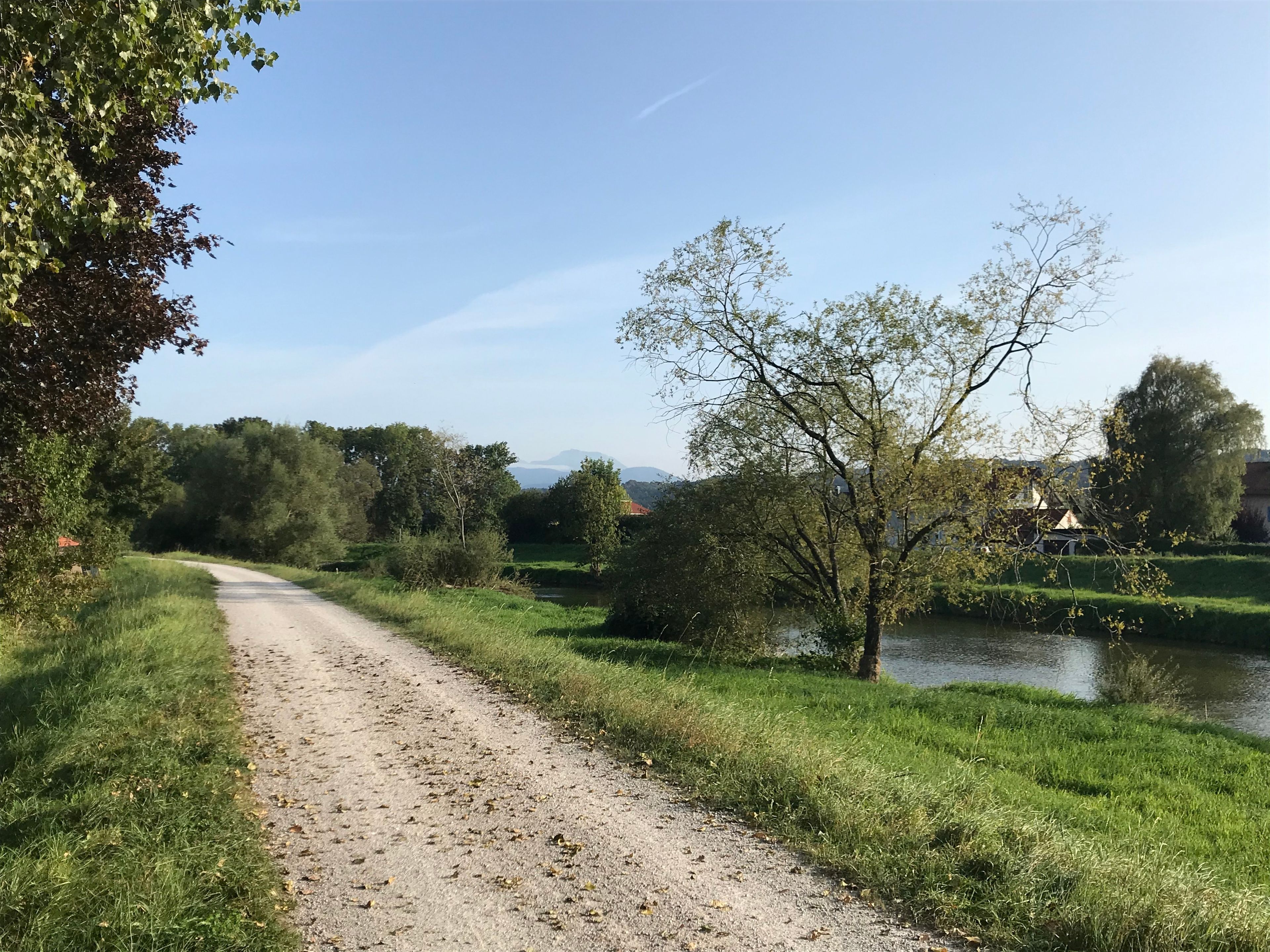 Camí rural amb una bassa a la dreta, envoltada de verdura i arbres.