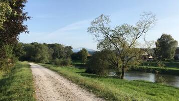 Camí rural amb una bassa a la dreta, envoltada de verdura i arbres.