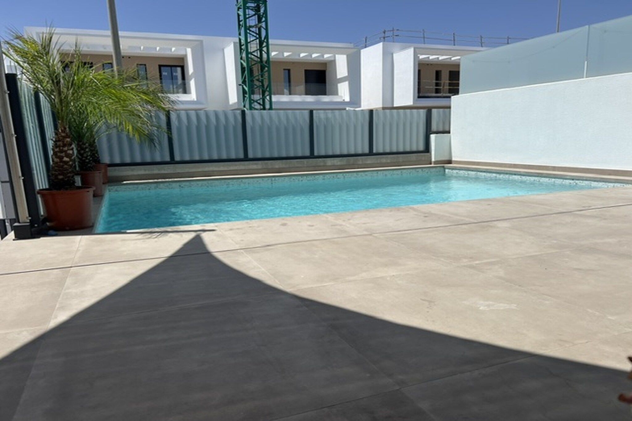 A swimming pool with a tiled deck, a palm tree, and a building in the background.
