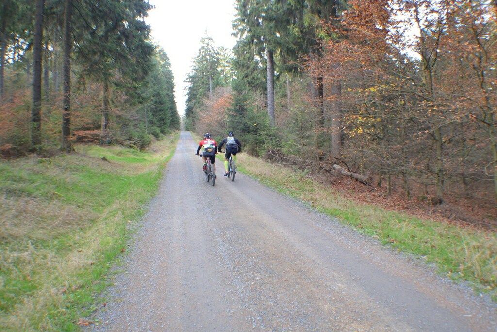 A gravel road flanked by trees, likely a rural setting.