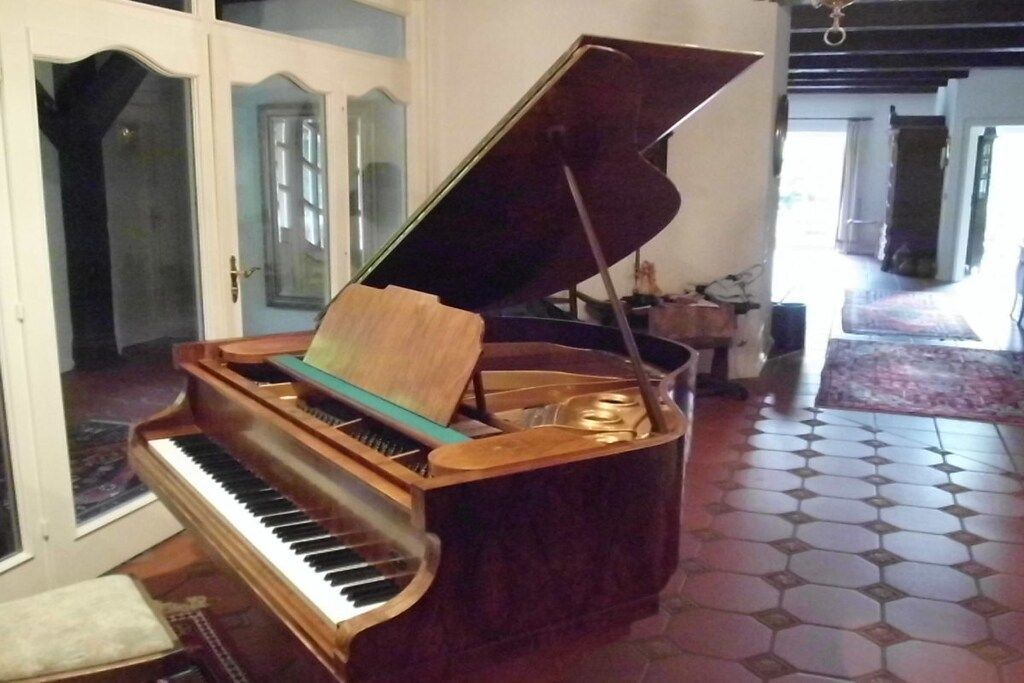Een vleugel met open klep, geplaatst in een kamer met een vloer met een patroon, en een deur die naar een andere ruimte leidt.