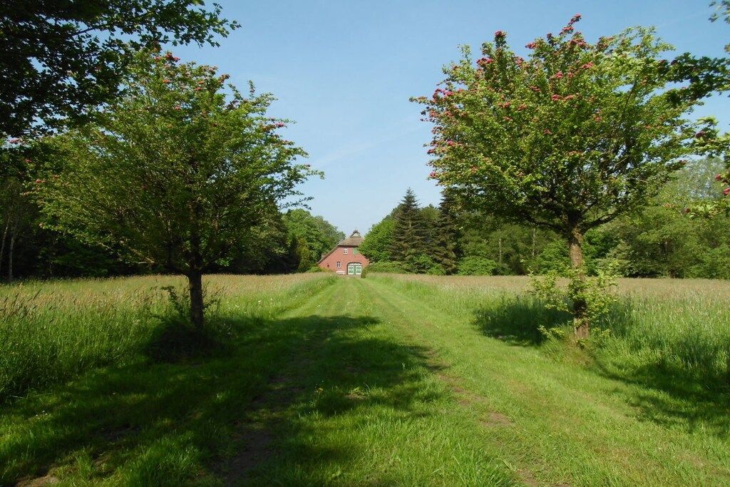 A rural pathway leading to a red building surrounded by trees.