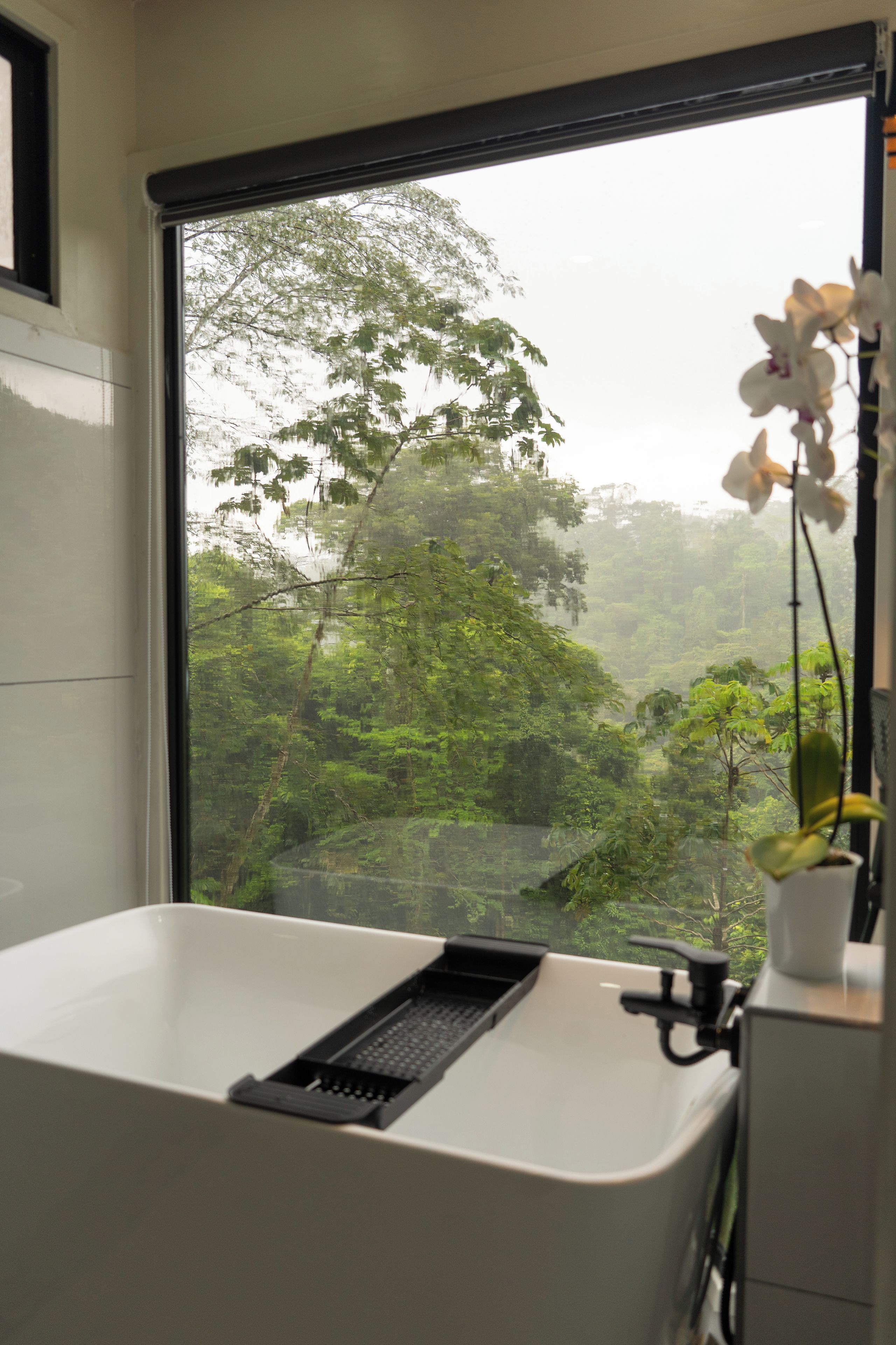 Un baño con una bañera, una ventana y una orquídea en maceta.
