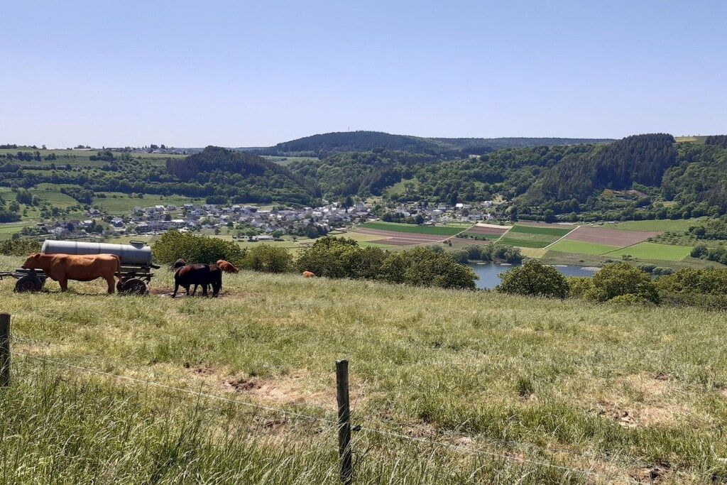 A rural landscape with grazing cattle, a water body, and a small settlement in the distance.