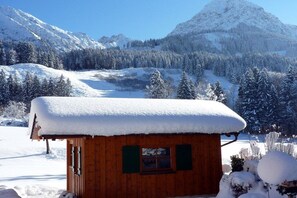 A wooden cabin with a snow-covered roof, surrounded by a snowy landscape and mountains. - 2 in the country house Magdalena (Oberstdorf)