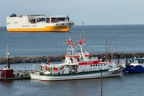 Un port amb un vaixell de càrga gran anomenat 'Grimaldi Lines' i una embarcació més petita anomenada 'Arkona' amarrades a un moll.