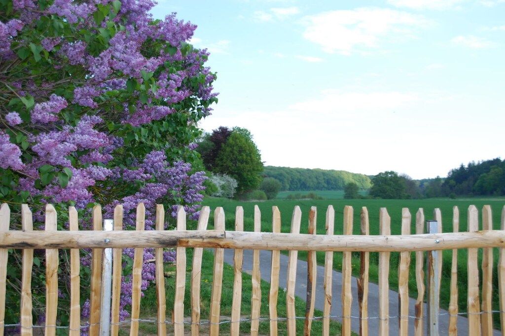 Une clôture en bois surmontée de fil barbelé, une route en arrière-plan et un arbre aux fleurs violettes.