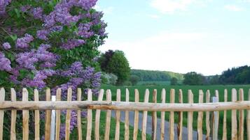 Une clôture en bois surmontée de fil barbelé, une route en arrière-plan et un arbre aux fleurs violettes.