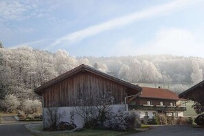 A rustic wooden building with a balcony, surrounded by snow-covered trees and a clear sky. - Irlmühl "Spatzennest" (Schwarzach)