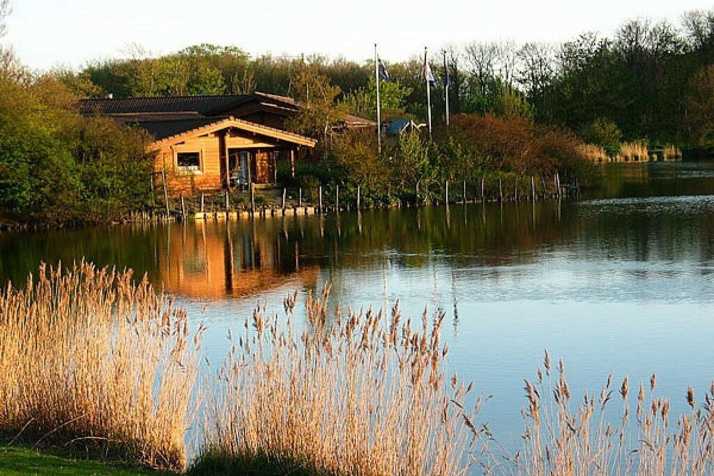 A wooden cabin by a calm lake with reeds in the foreground.