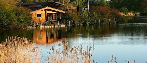 A wooden cabin by a calm lake with reeds in the foreground.