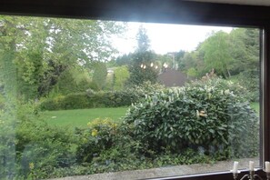 Blick durch ein Fenster auf einen Garten mit Rasen, verschiedenen Sträuchern und einem Gebäude im Hintergrund.