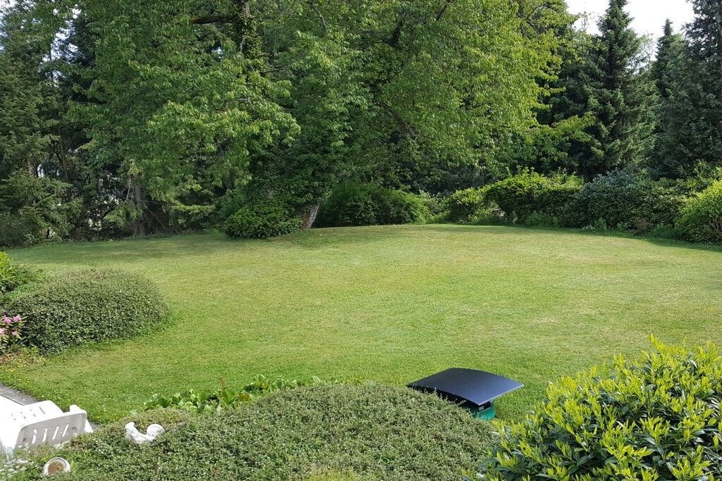 A well-maintained lawn with a small black object, surrounded by dense greenery and trees.