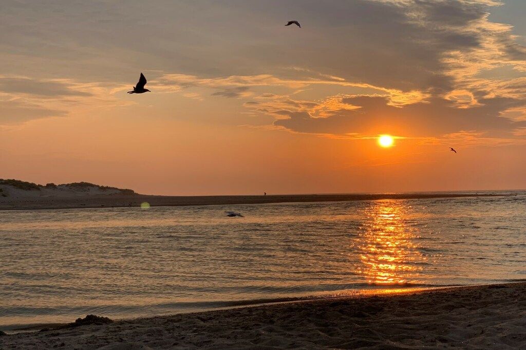 Une scène de plage au coucher du soleil, avec le soleil se reflétant sur l’eau, des oiseaux qui volent et une rive sablonneuse.