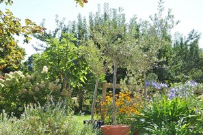 Ein Garten mit verschiedenen Pflanzen und Blumen, einem Holzzaun und einem Blumentopf.