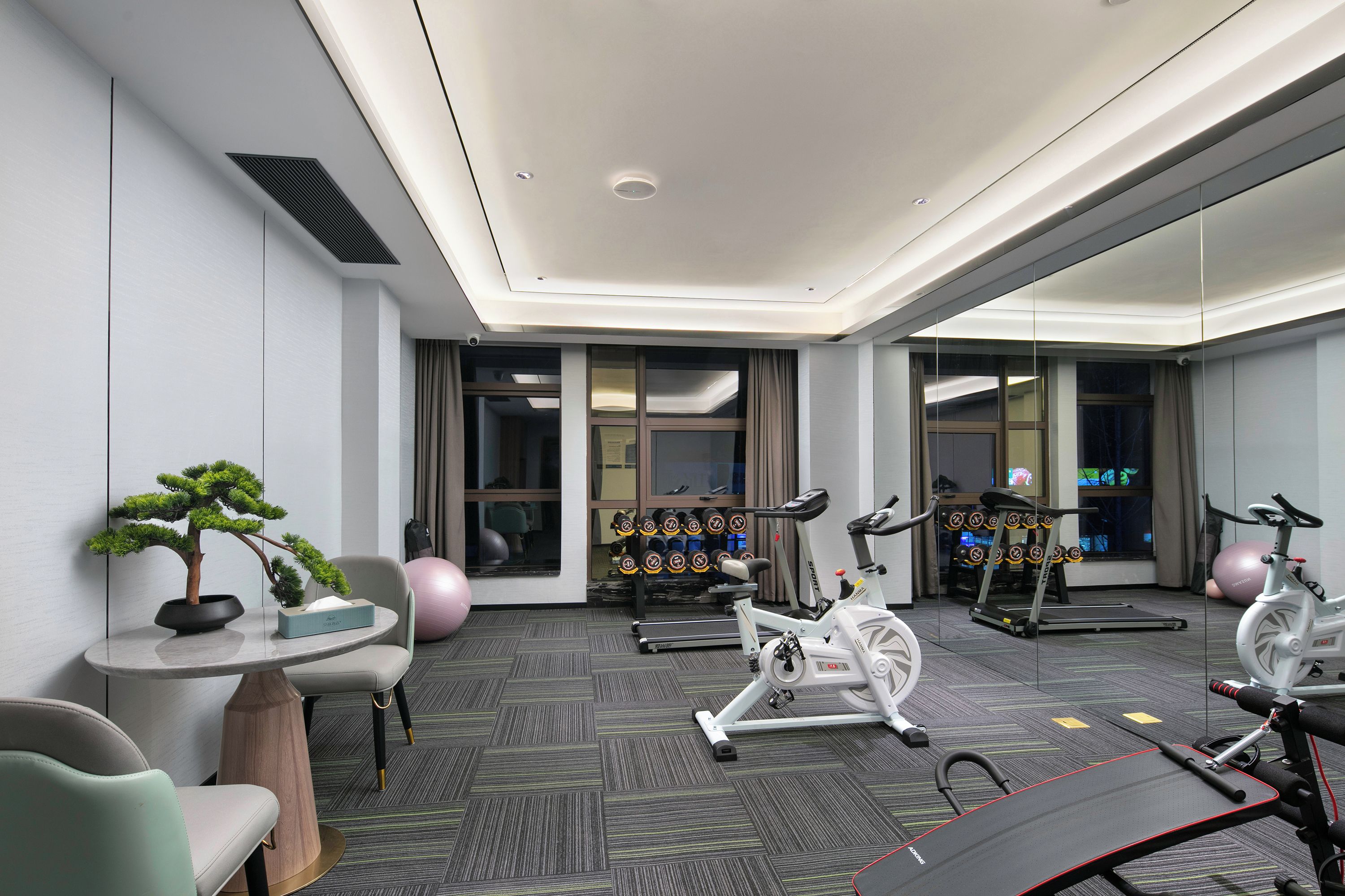 Un gimnasio moderno con equipo de ejercicio, un espejo y una planta en maceta.